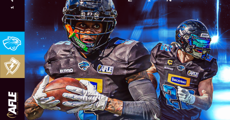 Plakat Panthers Wrocław